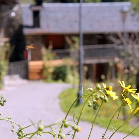 Apartaments Turistics Vilaro Llorts Eksteriør billede