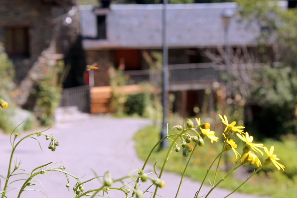 Apartaments Turistics Vilaro Llorts Eksteriør billede